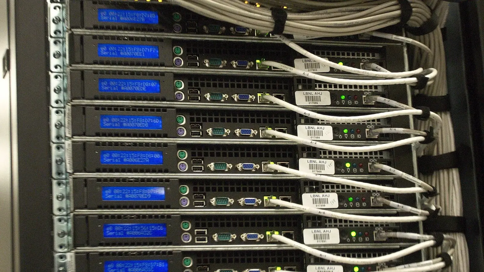 Close-up of the rear of a server rack with blue status displays and bundled white network cables