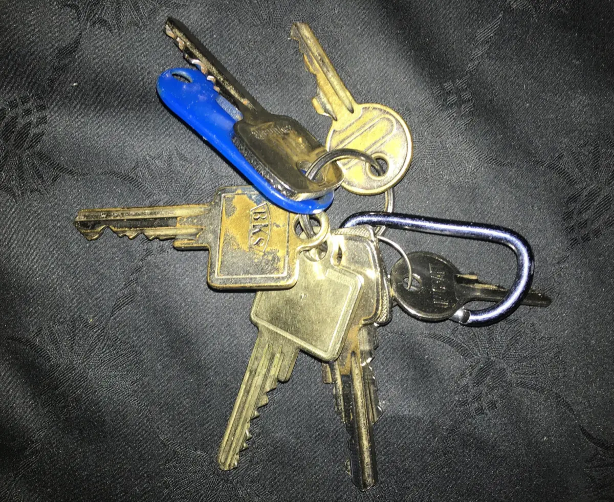 A ring of assorted brass and steel house keys with a blue plastic tag and a carabiner, lying on dark patterned fabric