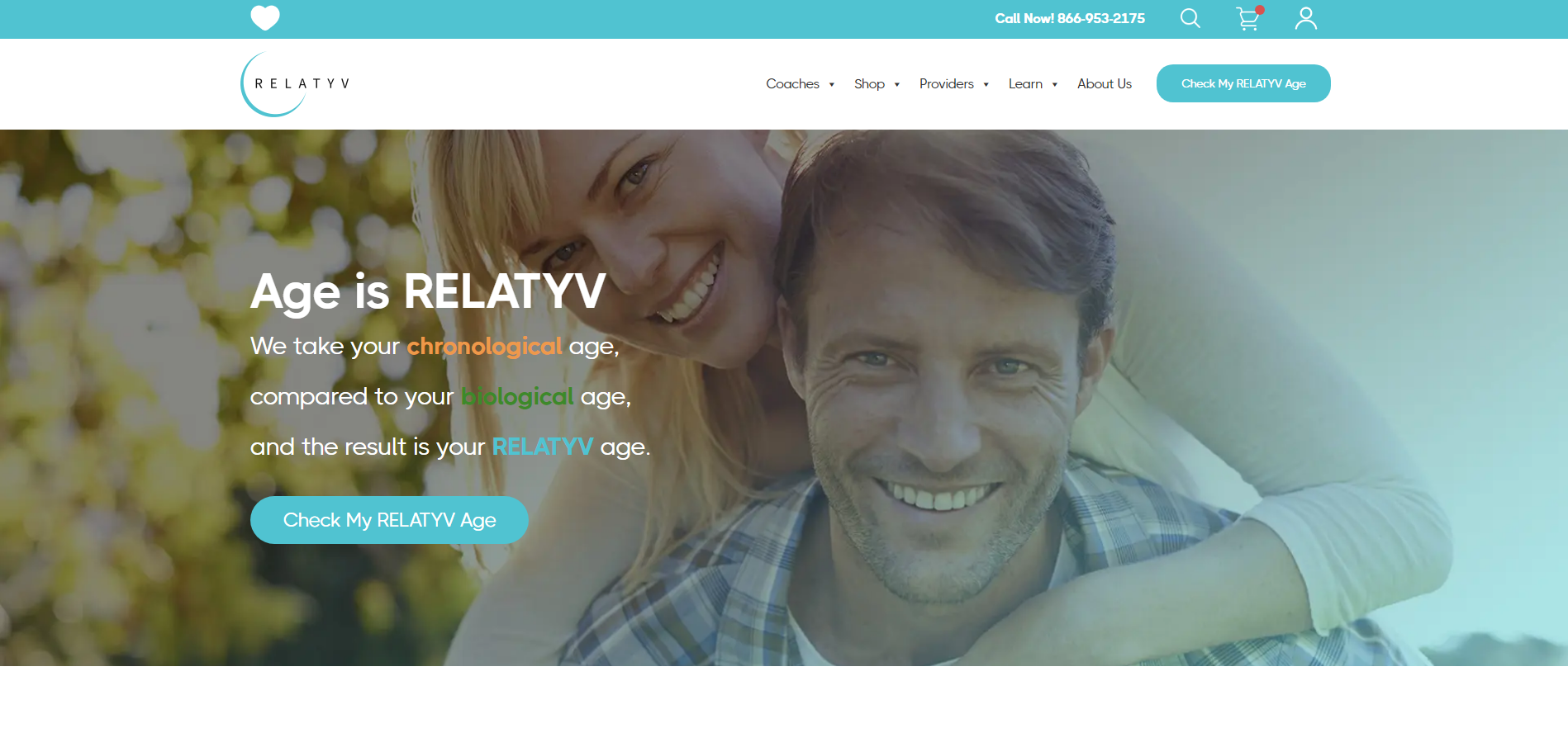 Relatyv Platform: Single sign-on between Salesforce and WordPress: staff click through from Salesforce and land already logged in, with no second password